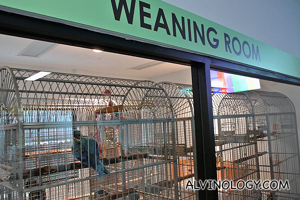 Weaning room