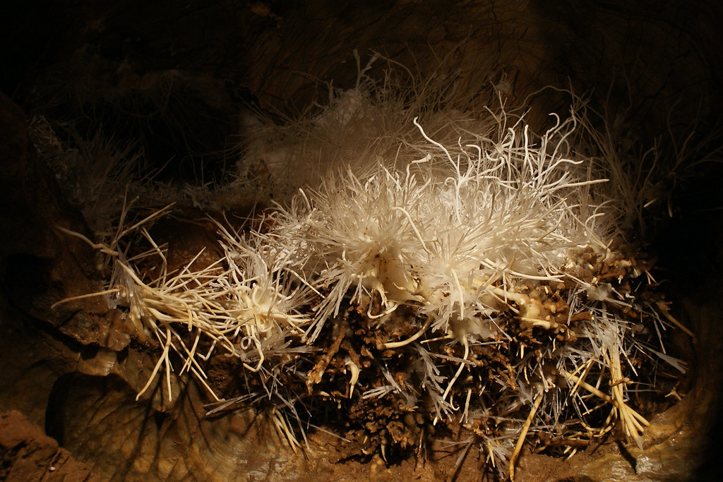 aragonit branches in aragonite cave in Ochtiná, south Slovakia