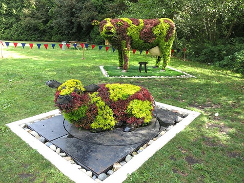 Topiary cows