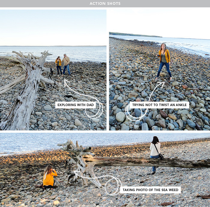 Penobscot Bay Driftwood Lincolnville Maine Action Shots