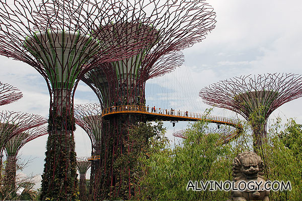 View of the Supertrees from a distance