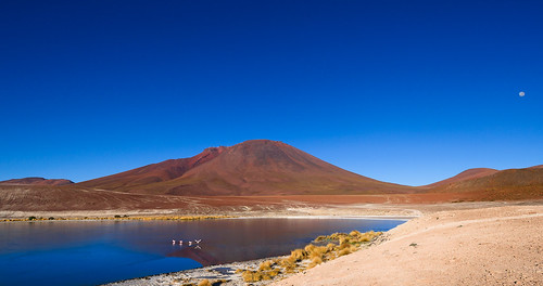 moon landscape geotagged flamingo bolivia lagoon altiplano southwestcircuit lagunaremeditas