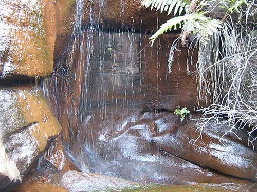 creek waterfall australia bushwalking nsw newsouthwales aus lakesland southernhighlandsbushwalkers