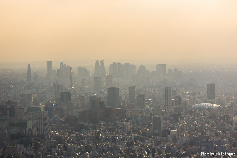 Rascacielos de Shinjuku y Tokyo Dome desde la Tembo Deck.