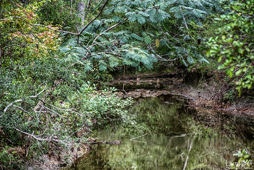 larrybell larebell larebel southernphotosoutlookcom souwilpa creek bridgechoctaw county alabama