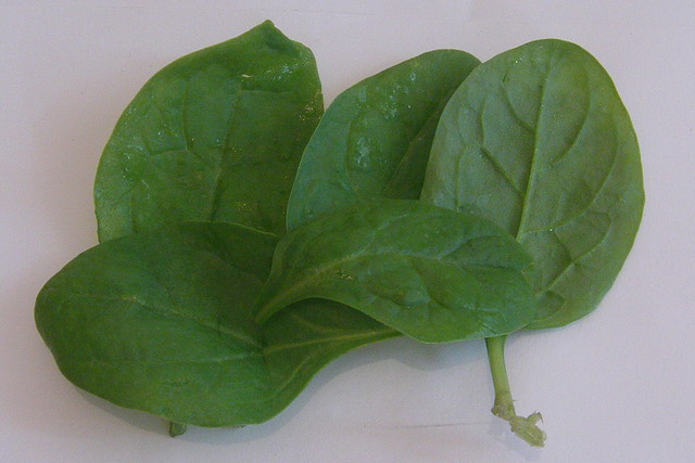 Baby leaf spinach