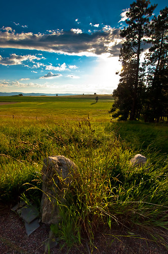 travel trees sunset nature landscape photography montana meadow kalispell