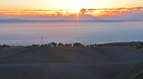 california travel vacation usa tourism fog canon vineyard day pasorobles