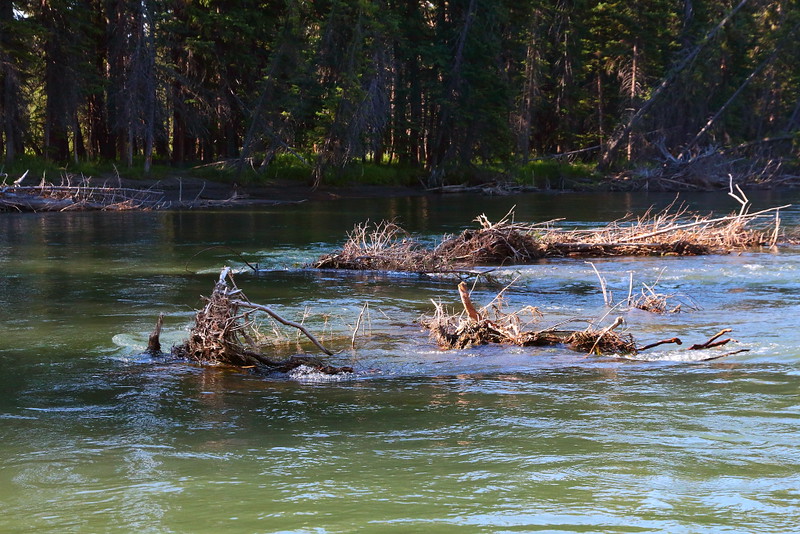IMG_6458 Snake River Rafting, Grand Teton National Park