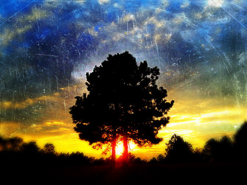 sunset sun abstract tree home colors mobile project farm cellphone cell pasture land 365 sunrays iphone project365 p365 365project iphoneography fillmer iphone4s