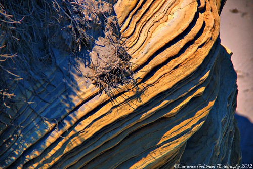 california nature sandstone erosion geology striations channelislandsnationalpark usnationalparks santarosaisland