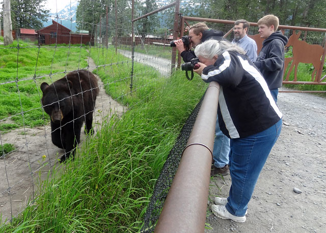 black-bear-sanctuary