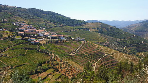 portugal dourovalley