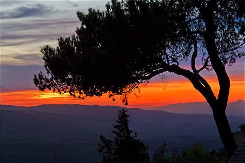 travel sunset italy tree silhouette landscape italia volterra tuscany toscana traveldestinations 55250mm