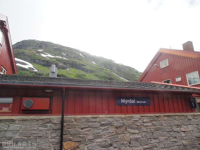 Norway in a Nutshell: Bergen mountain train from Myrdal to Honnefoss