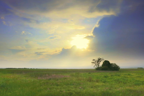 sky landscape massachusetts marsh newbury plumisland
