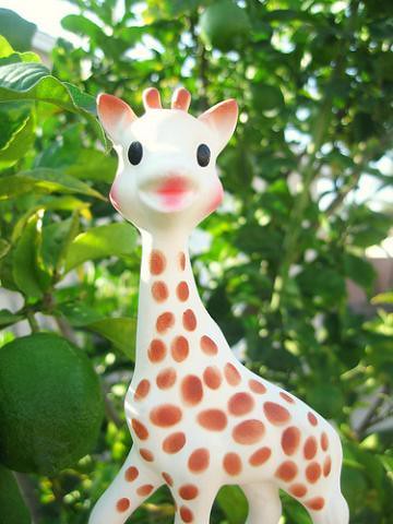 , Isabelle&#8217;s &#8220;Must Have Toy&#8221;&#8230;her Sophie the Giraffe
