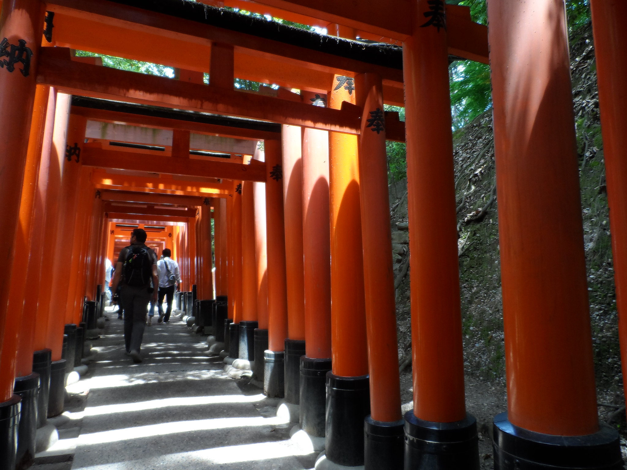 tempio Kyoto