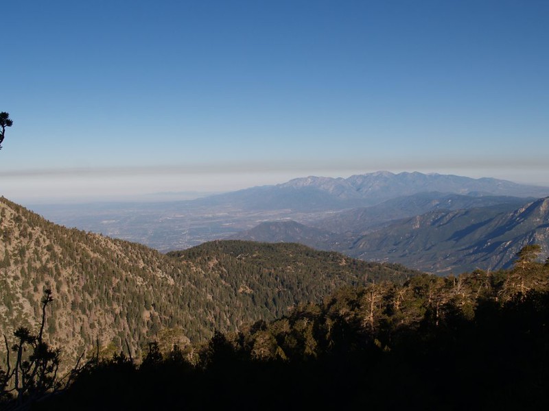 View west to Mount Baldy (Mount San Antonio) from the Forsee Creek Trail