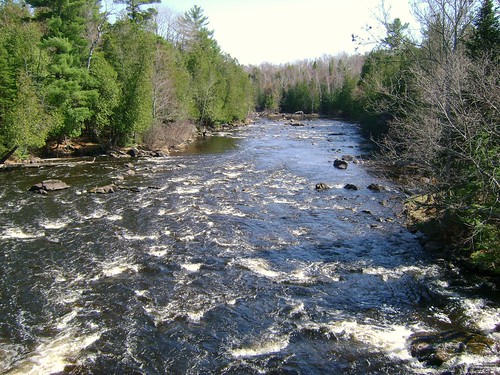 county wisconsin river wolf rapids wendigo langlade