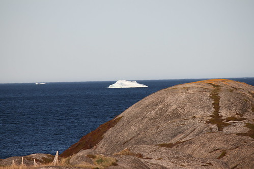 iceberg poolesisland