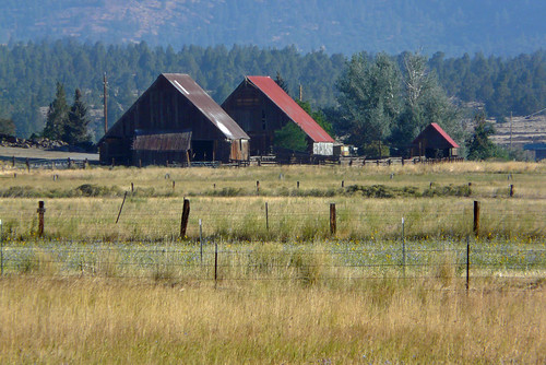 california roof red field barn rural norcal hwy395 susanville lassencounty