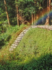 The rainbow path leads on