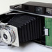 La Grenouille - Polaroid 110A/B Packfilm Conversion Woody
