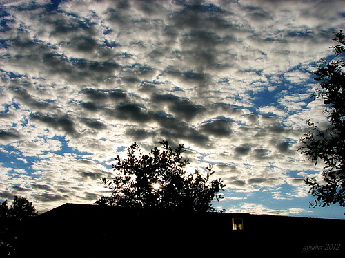 sun tree clouds copenhagen højetåstrup gynther torstorp