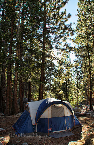 california morning camping trees mountains nature vertical sunrise tent mtwhitney peggy sierranevada easternsierras portraitformat ©allrightsreserved ©peggyhughes