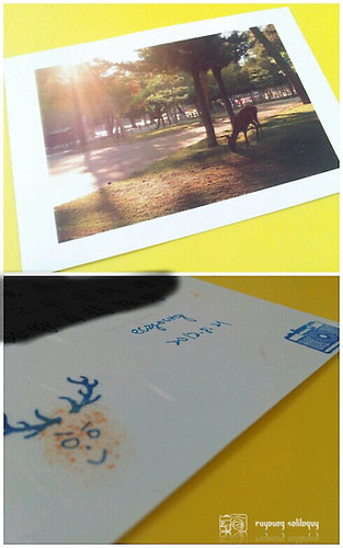 Postcard_kansai_05