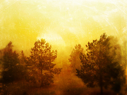 sun abstract rain yellow mobile fog sunrise project farm foggy cellphone cell pasture 365 iphone project365 p365 365project iphoneography fillmer iphone4s