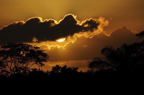 sunset clouds landscape atardecer rainforest belize paisaje nubes puestadesol monte ocaso centroamérica jungla selvatropical manigua