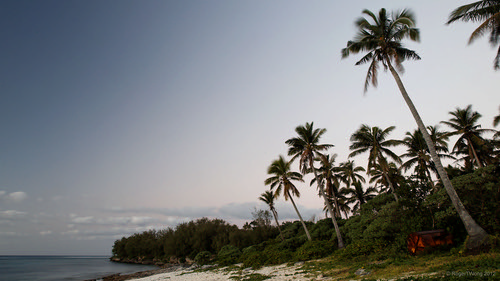 ocean trees sunset beach coral island twilight pacific coconut palm tonga canonef24105mmf4lisusm tongatapu canon24105 haatafu canoneos5dmarkii