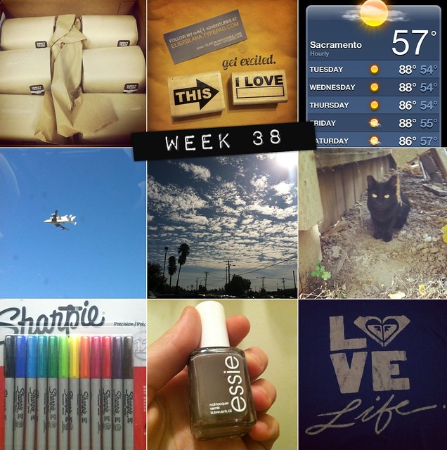 2012 in pictures: week 38