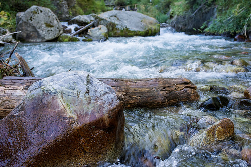 wood nature stone river stream kazakhstan almaty
