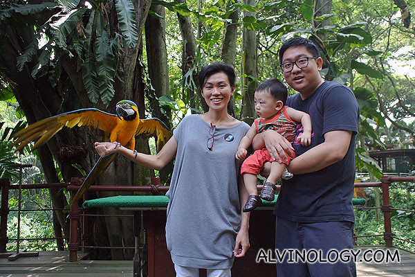Southeast Asia - Alvinology