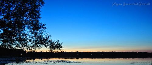trees sunset reflection water michigan washtenawcounty independencelake