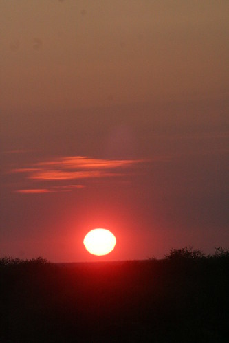 africa light nature sunrise namibia etoshanationalpark anderssongate