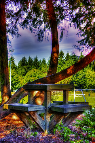 a hdr table kitsap fair grounds taken with canon t2i 550d kit lens dslr slr silverdale washington state sumer augest wood food trees nature random light nw puget sound pugetsound northwest north west patreon