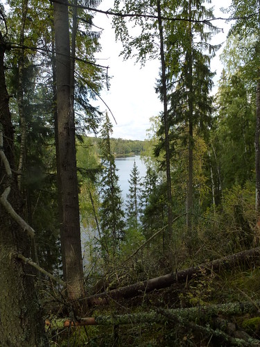 suomi finland snapshot tourist turisti syksy tammela autumnfall näsy copyleftby seppouusitupa