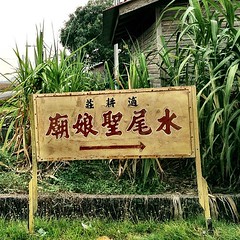 Sekinchan is a Chinese-centric area in this multiracial country. And there are more than usual number of Chinese temples in Sekinchan. This signage directs you to turn right to 'Goddess of Water Tail' Temple. 'Goddess of Water Tail' is the protection 