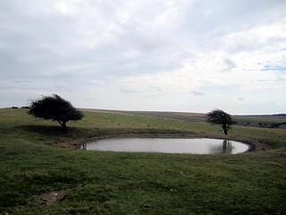 Dew Pond
