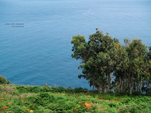 paisajes naturaleza mar arboles galicia acoruña océano olympuse500 estacadebares portodebares joséluiszueras mygearandme