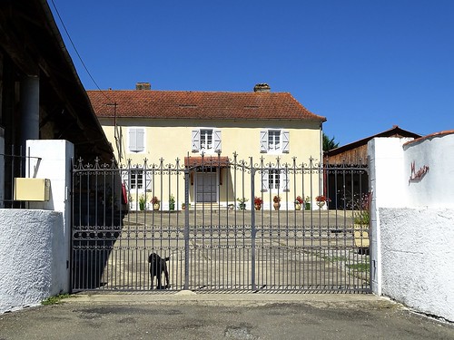 francia france gers tieste uragnoux casa building ferme chien cane dog guardiano cancello gate chemindemontus