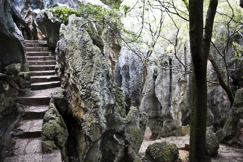 Shilin – An Amazing Stone Forest