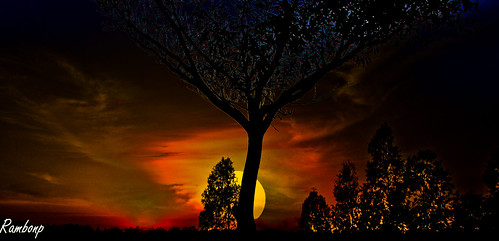 trees sunset wallpaper sky sun india reflection nature water silhouette clouds landscape evening twilight paradise sundown hdr chandigarh sukhnalake dimness haryana panchkula mornihils