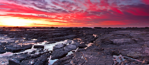 new seascape sunrise geotagged island south zealand seals peninsula kaikoura colony geo:lat=4242319888133658 geo:lon=1737169414791748