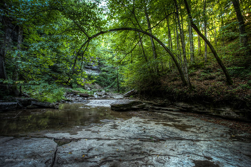 water creek woods stream indiana mccormickcreekstatepark spencer