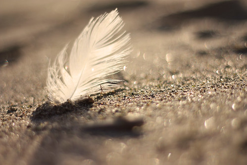 sunset canon 50mm sand feathers f18 450d